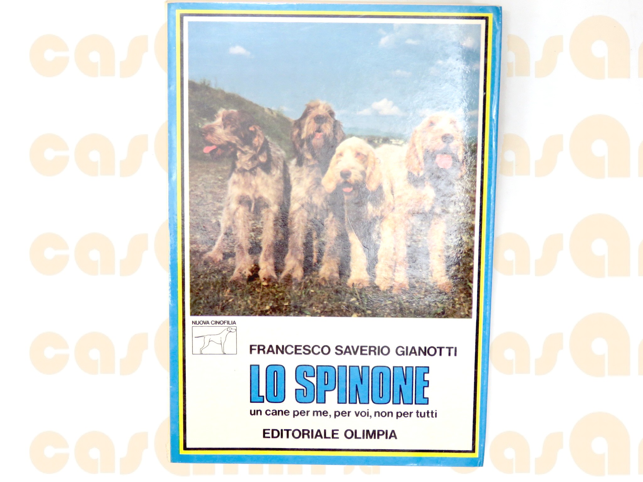  Lo spinone, di Francesco Saverio Gianotti 